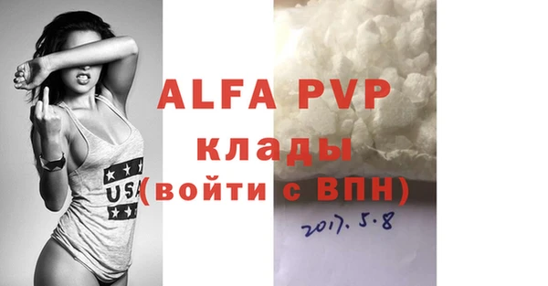 стаф Алексин