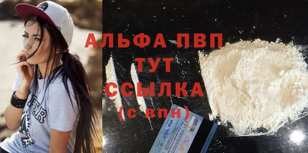 стаф Алексин
