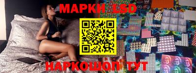 a pvp Новозыбков