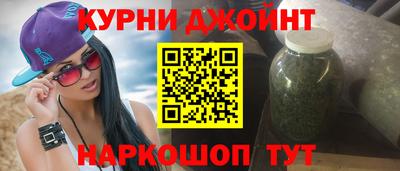 a pvp Новозыбков