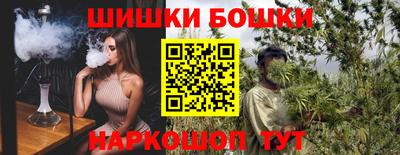 a pvp Новозыбков