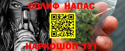a pvp Новозыбков