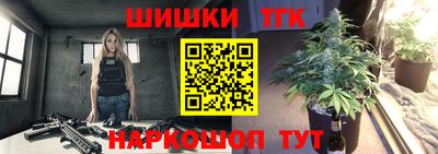 a pvp Новозыбков