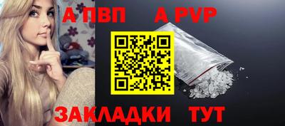 a pvp Новозыбков