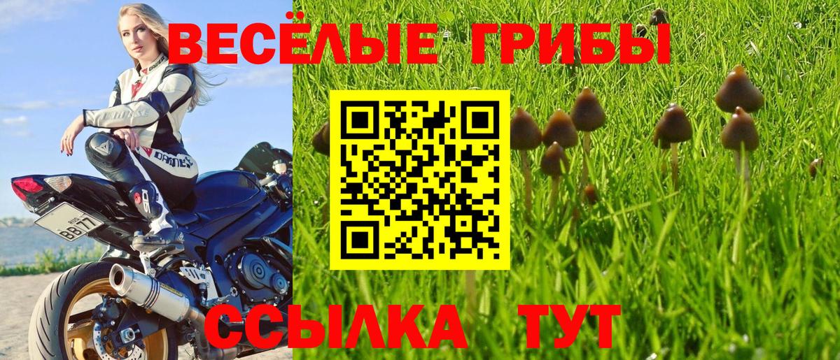 Чебоксары  Галлюциногенные грибы GOLDEN TEACHER  Вход с VPN  Псилоцибиновые грибы Psilocybine cubensis 